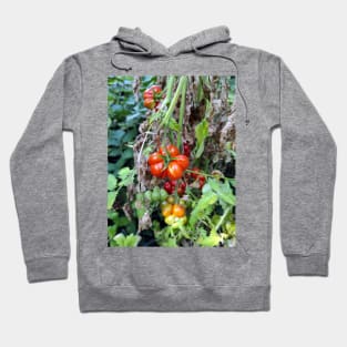 A toothed tomato Hoodie